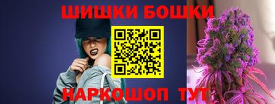 прущие крисы Камышлов
